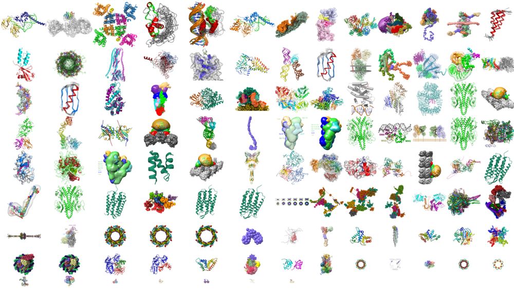 Access IHM structures at wwPDB DOI Landing Pages