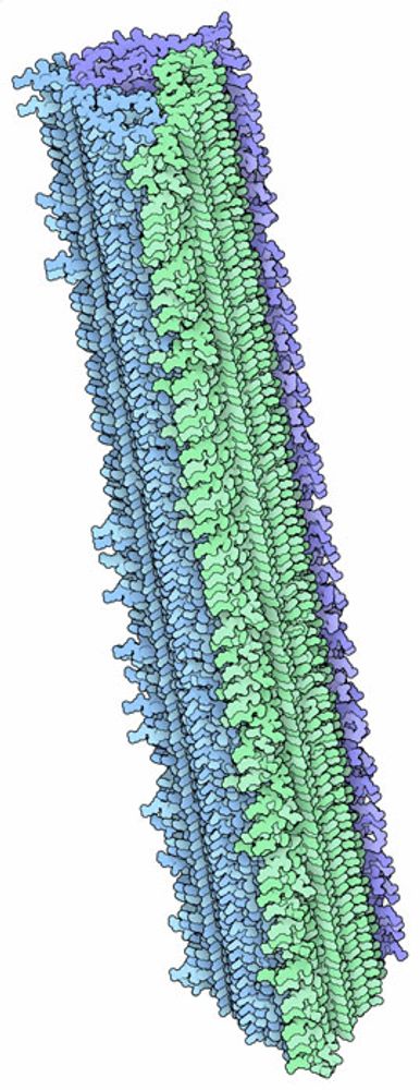 PDB101: Molecule of the Month: Amyloids