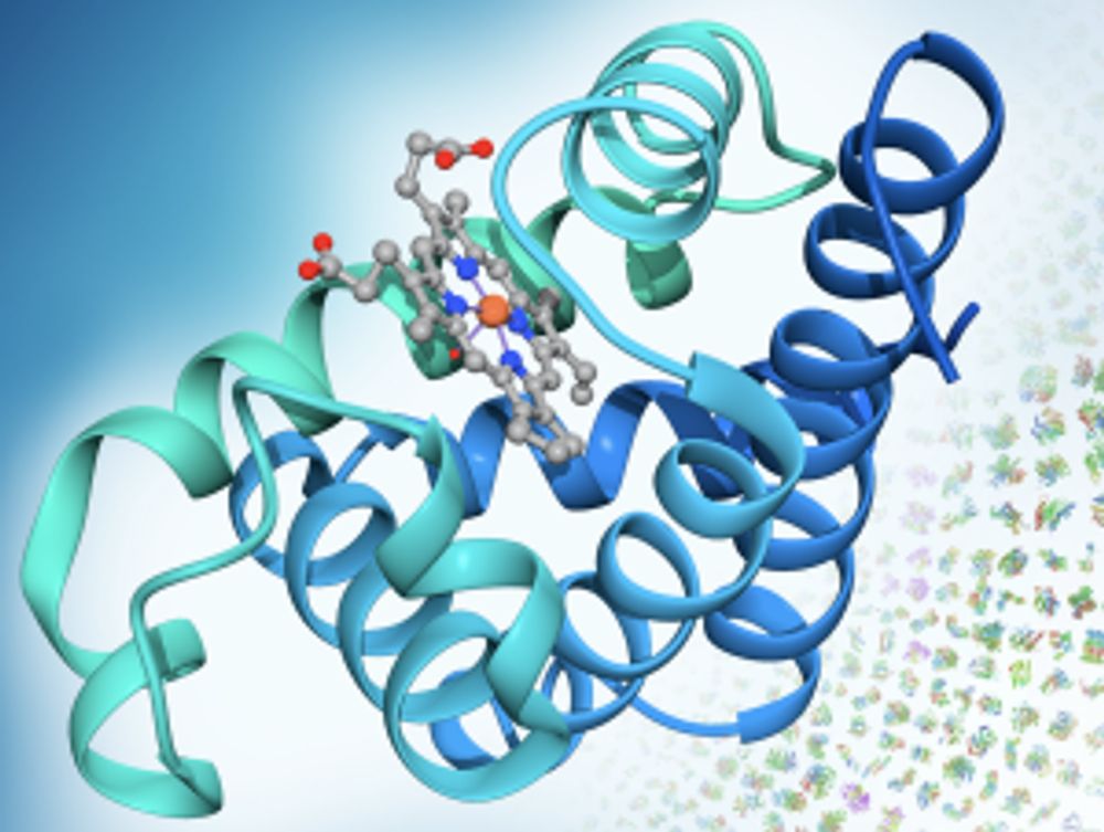 PDB101: Browse: Nobel Prizes and PDB structures