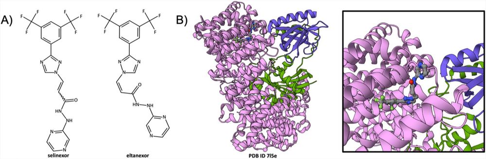 Impact of structural biology and the protein data bank on us fda new drug approvals of low molecular weight antineoplastic agents 2019–2023