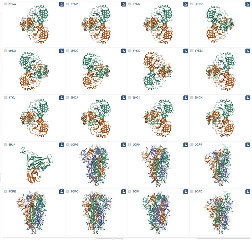 Collage of SARS-CoV-2 structures released in the PDB this year
