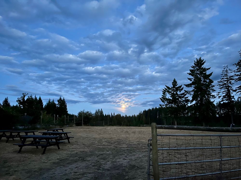 View of a field with a huge dusky sky above. The moon is full and bright. 