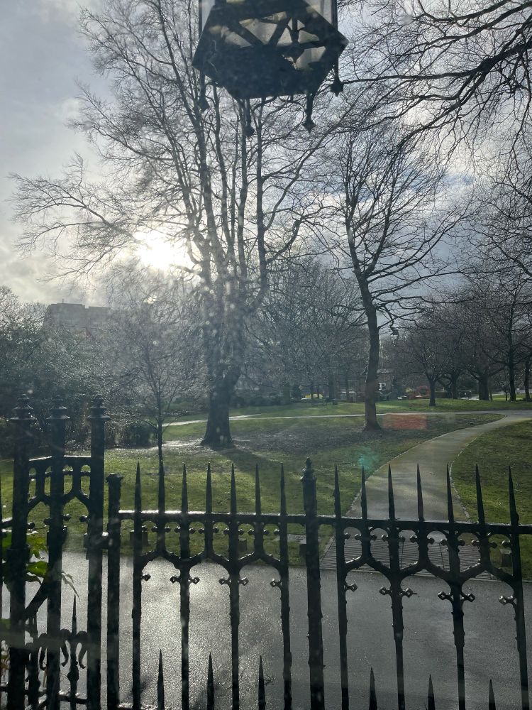 A view a across a park in the sun after rain
