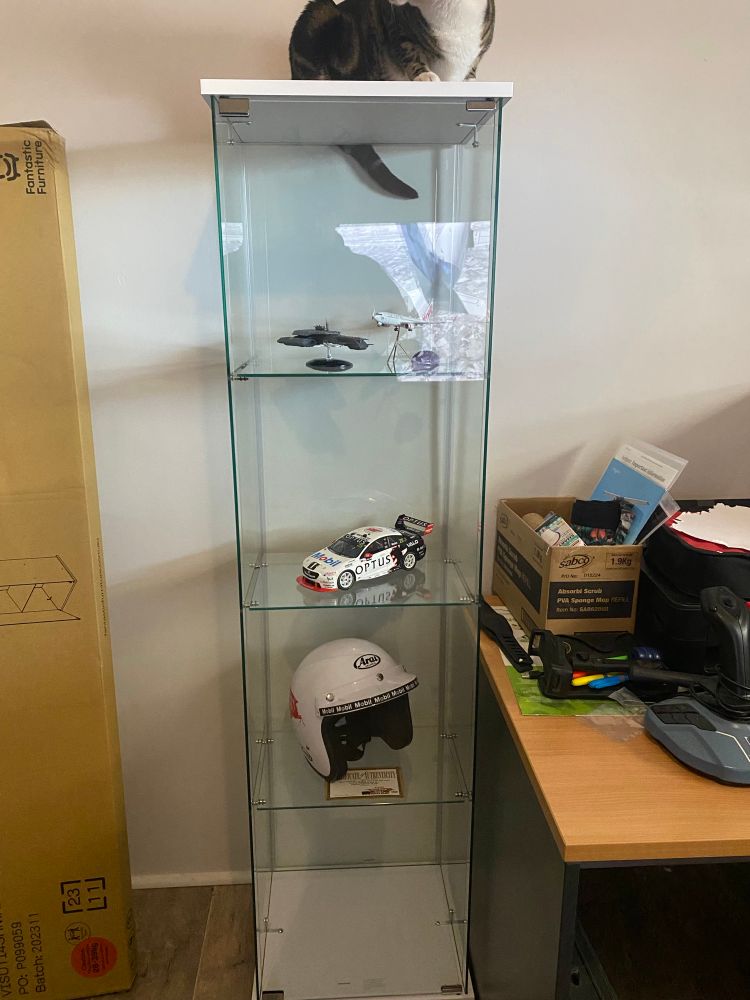 A different angle again of my display cabinet with Ezri sitting atop with a better shot of the second shelf from the bottom and a replica Peter Brock 05 helmet
