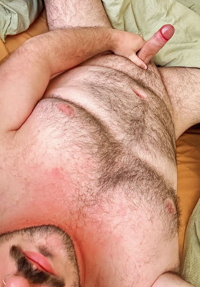 a hairy guy lying in bed, showing off his hard penis. The crop is close so you can only see him from about the nose to the knees. 