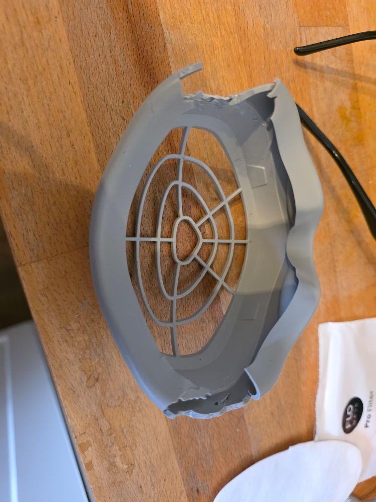 Flo mask chewed by my puppy labrador