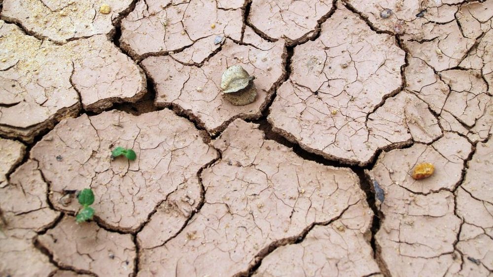 Versnelde daling van grondwaterpeil op veel plekken wereldwijd, laat nieuwe studie zien