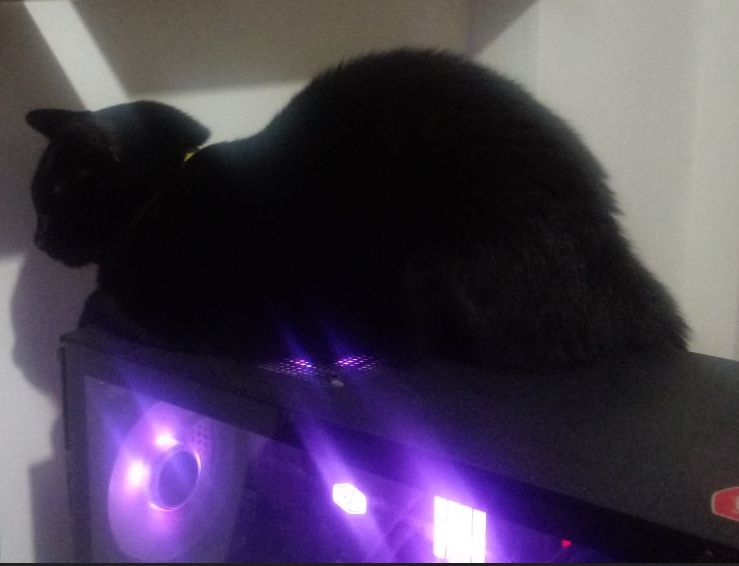 Black cat napping on top of a gaming PC, loafing right on top of the exhaust vent.
