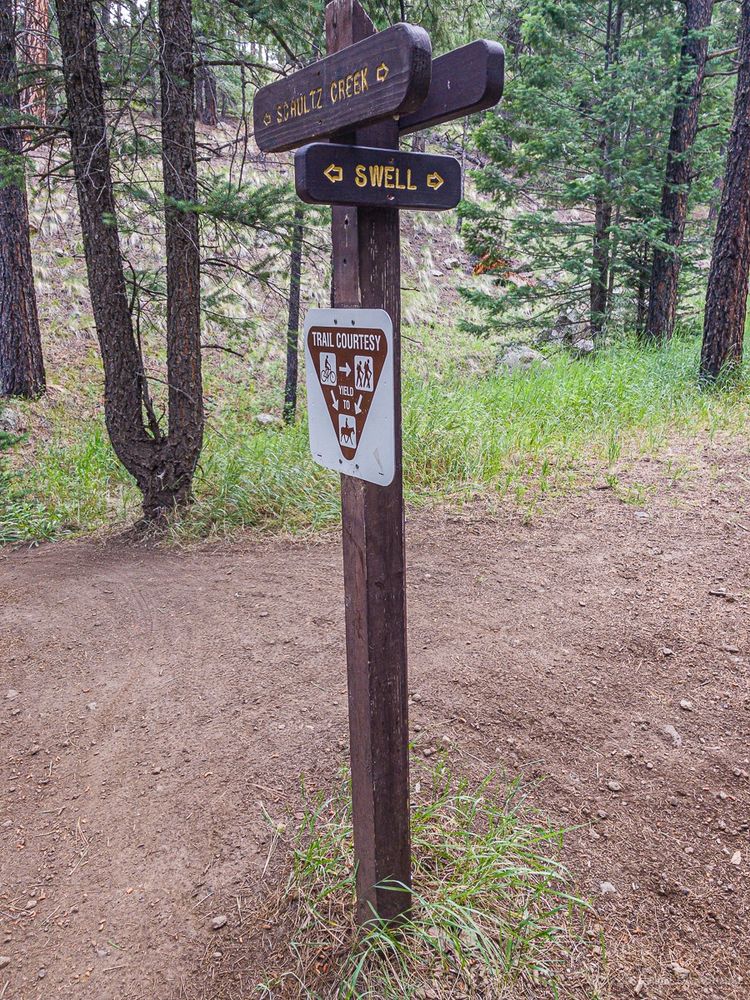 The turnaround spot for today's run on Schultz Creek Trail at its intersection with Swell Trail.