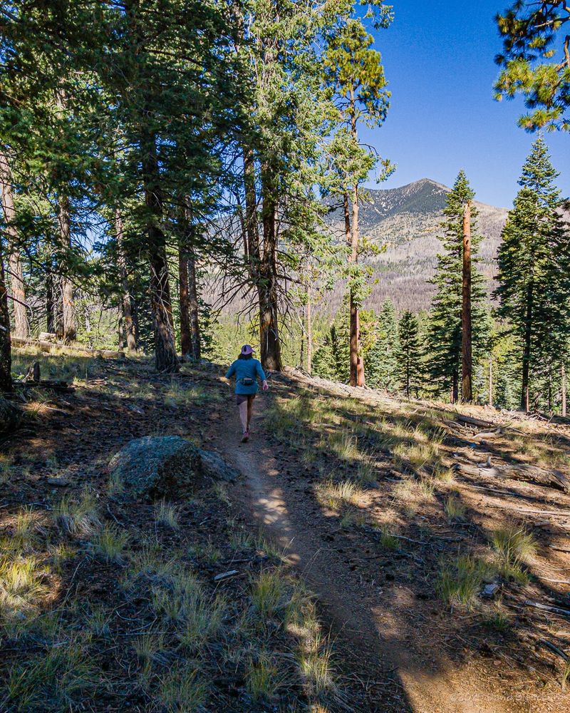 A trail runner on Lunar Tide trail with a view of the San Francisco Peaks north of Flagstaff, Arizona.