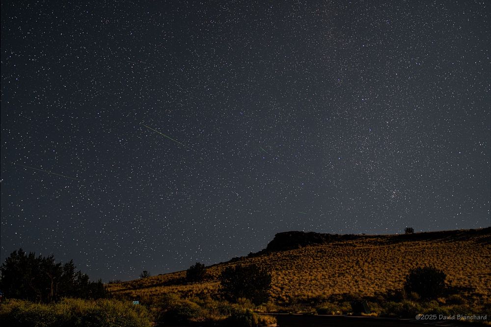 A small mesa with a few trees is in the foreground. The night sky with stars and a few meteors can be seen above the mesa.