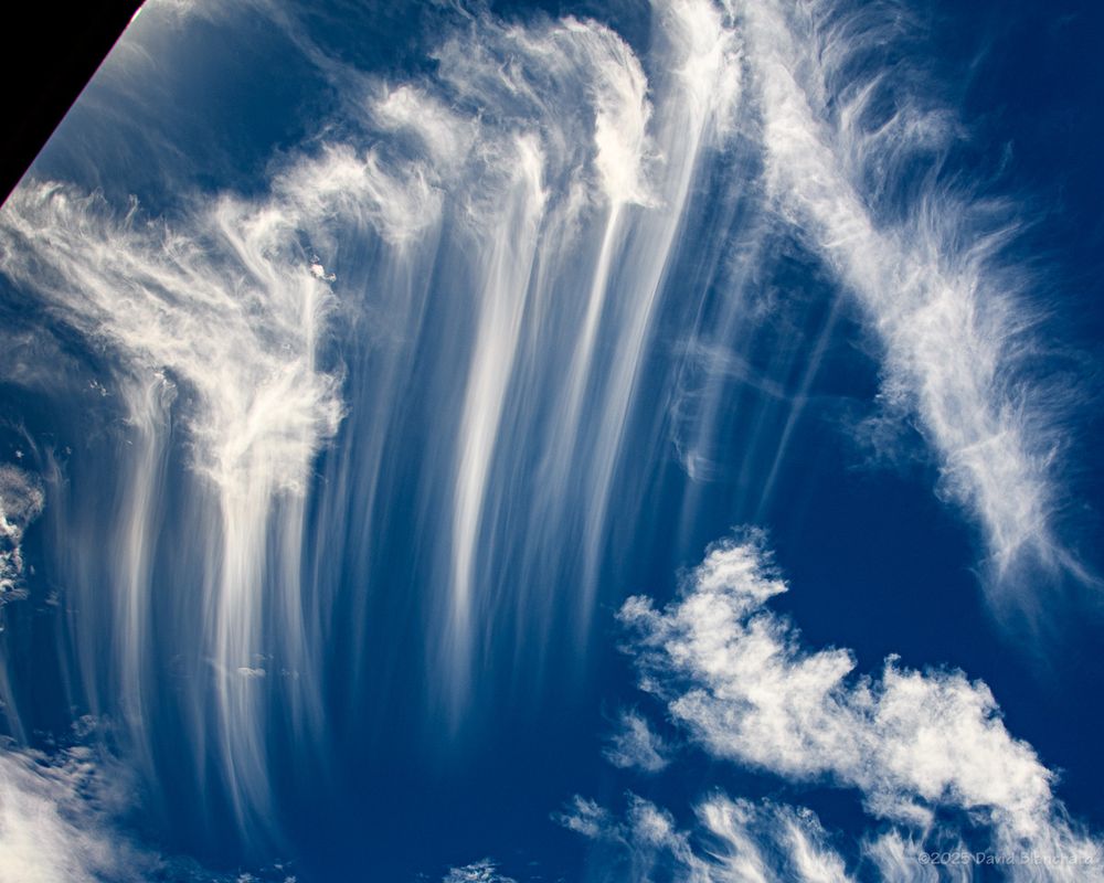 Detail of the cirrus floccus and the trails/tails of ice crystals.