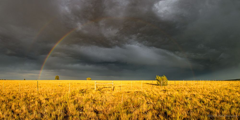 A double rainbow in present. In the foreground the grasslands are brightly lit and a few isolated small trees are visible in the distance.

12mm focal length.