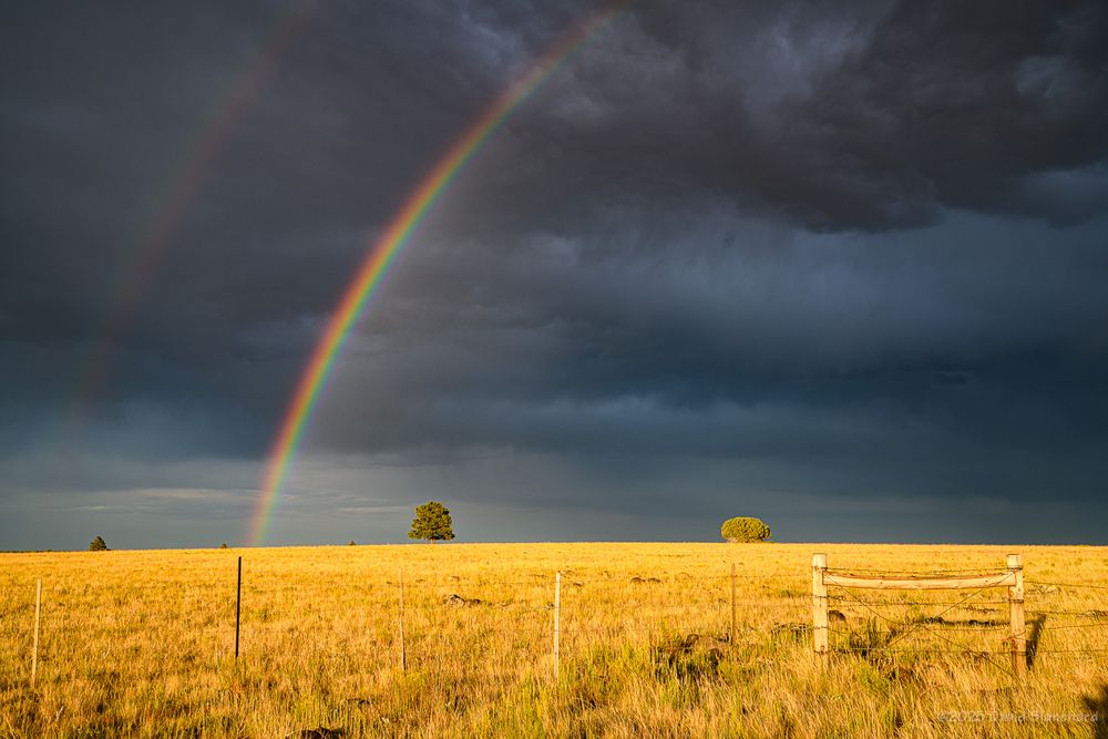 A segment of the rainbow is shown. The grasses and a fence in the foreground are brightly lit. A few isolated trees are in the middle distance.

35mm focal length.
