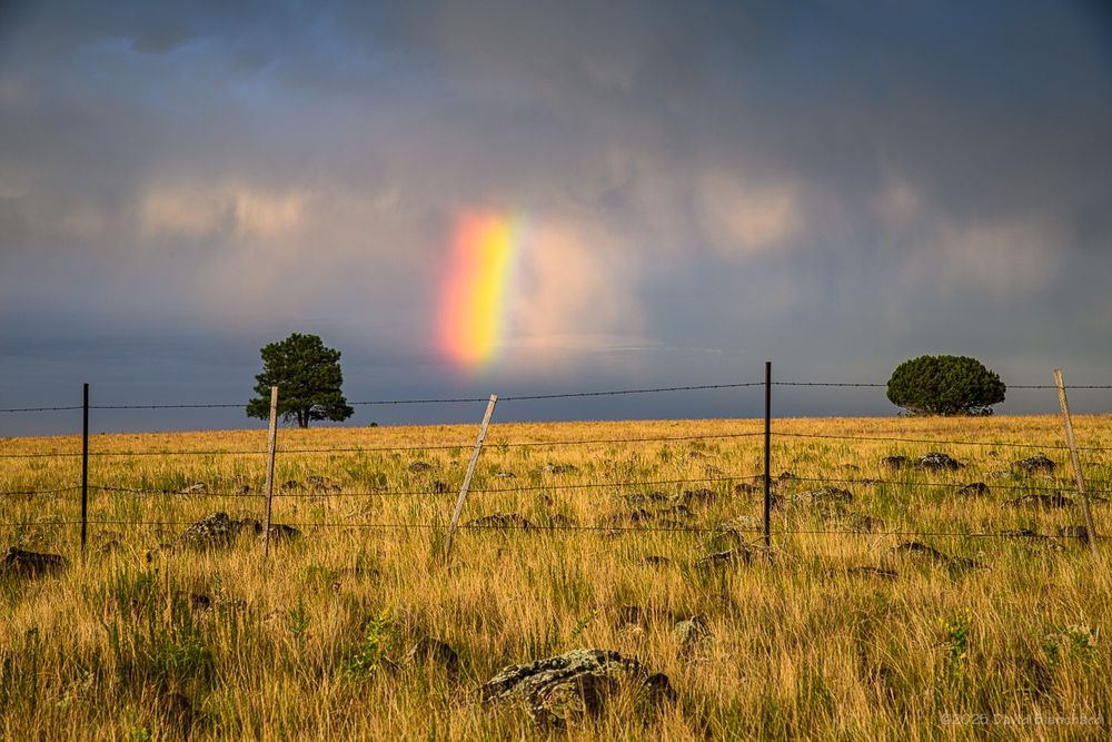 Only a small segment of the rainbow is still present. The grasses and trees have subdued light on them.

85mm focal length.