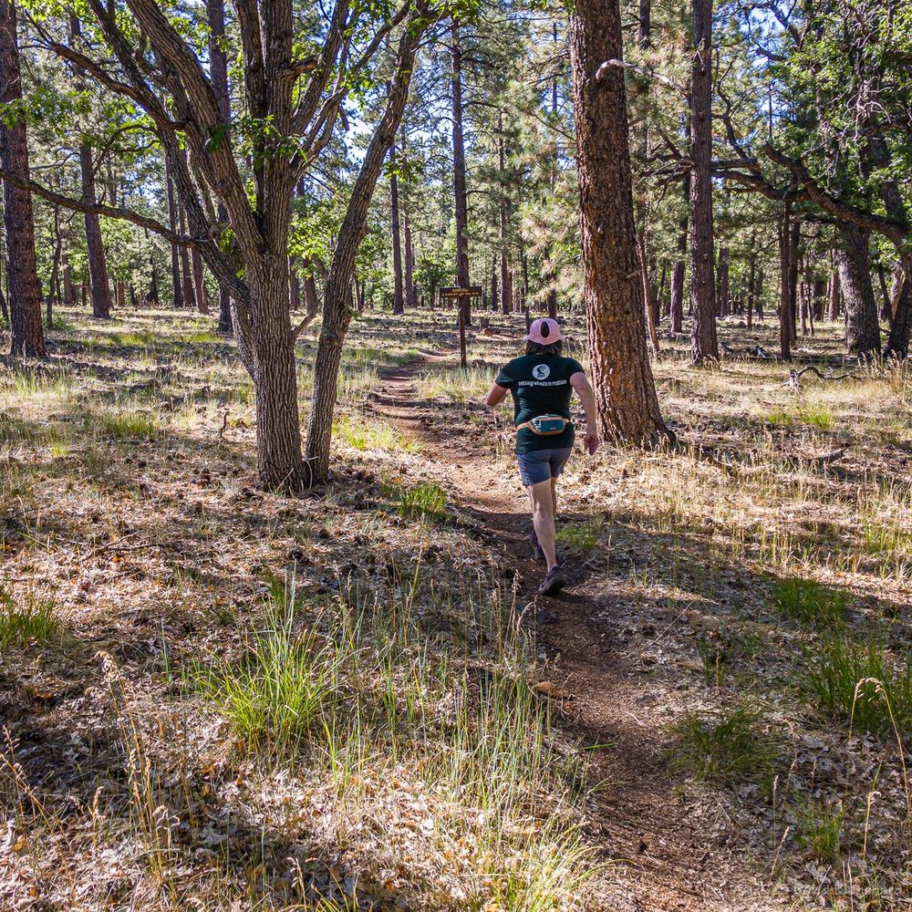 A runner travels on the Rogers Trail located on Woody Mountain. A mix of pine and oak trees populates this flat section of the trail.