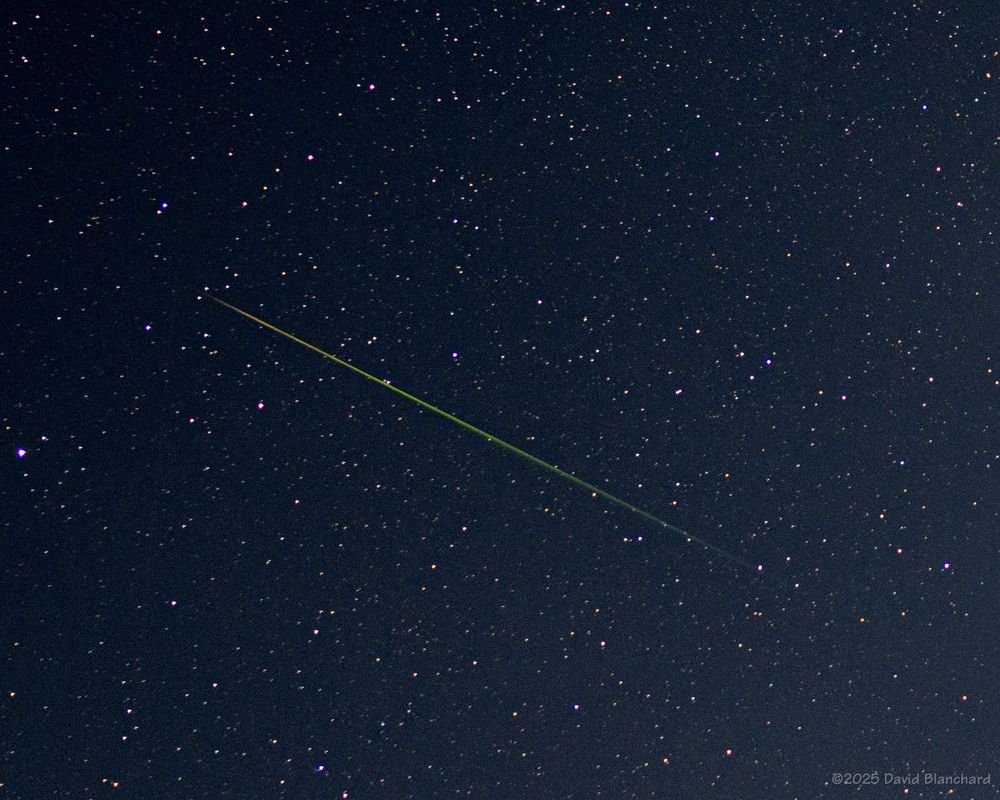 Cropped view of a Perseid meteor that streaked from the bottom right to the top left.