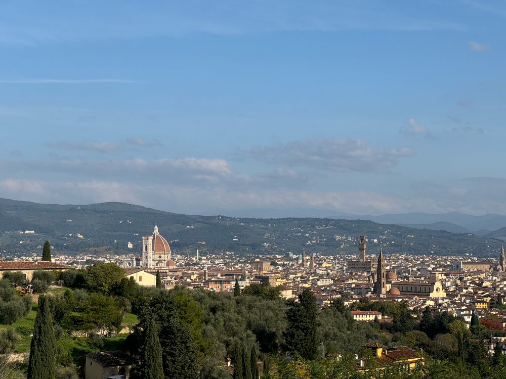 View on Florence from a close by mountain