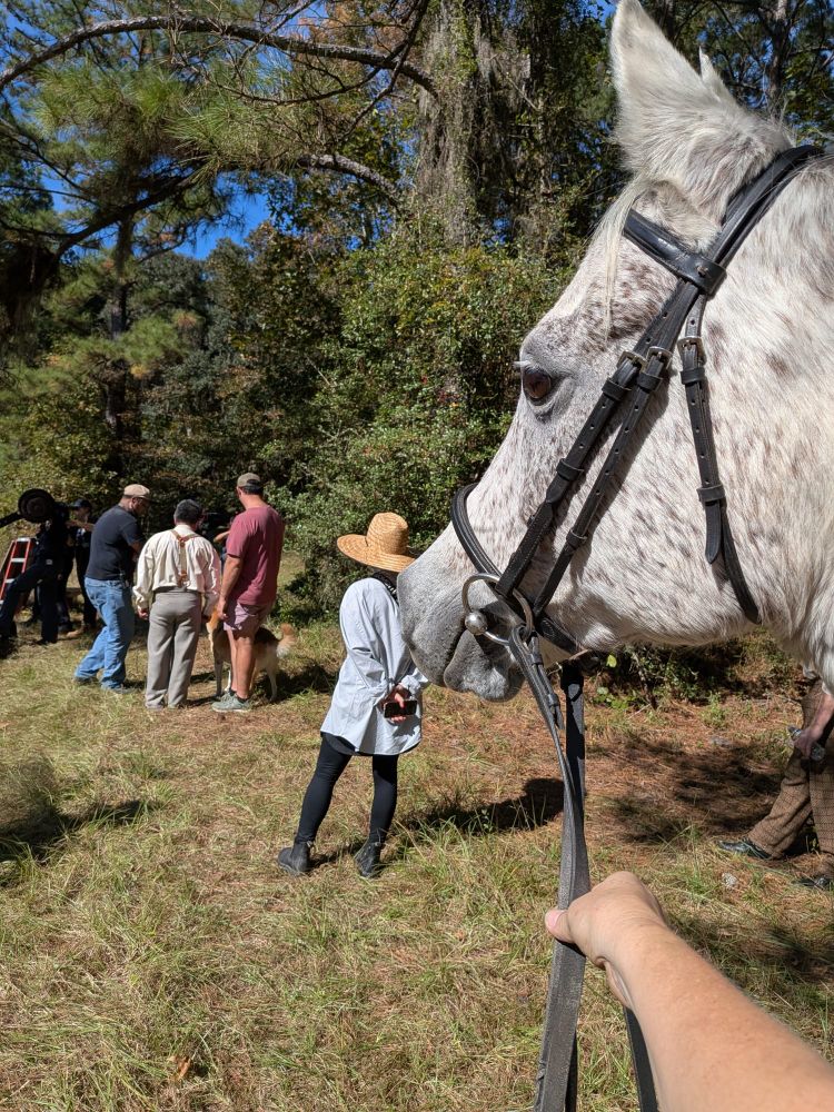 Foreground shows the side of a gray horse's face. In the background actors and crew members set up a film shot at the edge of a pond in autumn 