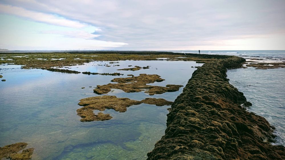 Foto de los Corrales de Rota en bajamar 