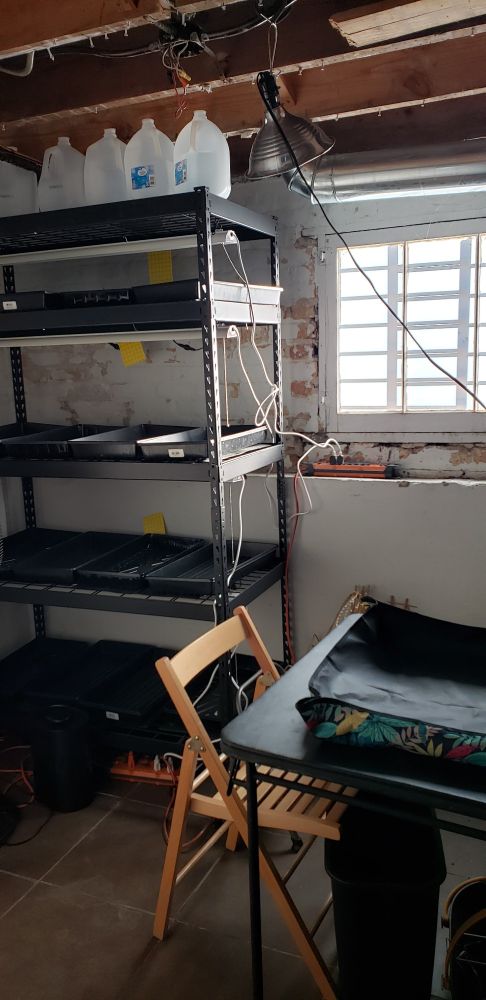 Photo of a basement with seed starting trays/materials on a shelf and a table setup for creating starts