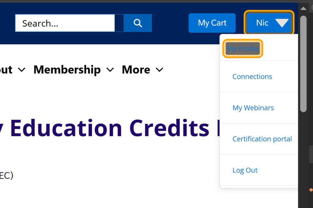 Was my IAAP Certification worth it? - Nic Chan