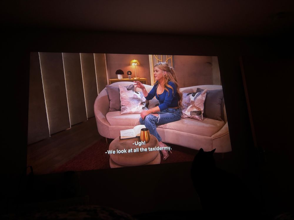 A photo of a screenshot from Love is Blind Denver of some woman. The visible subtitles say “Ugh! -We look at all the taxidermy.”