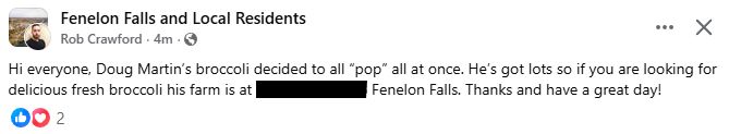 A local man says "Hi everyone, Doug Martin's broccoli decided to all "pop" at once. He's got lots so if you are looking for delicious fresh broccoli his farm is at [redacted], Fenelon Falls. Thanks and have a great day! 