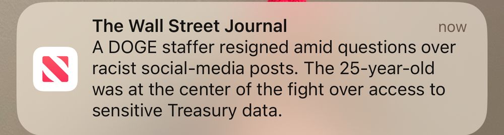 DOGE staffer resigns after been called out for racist social media posts