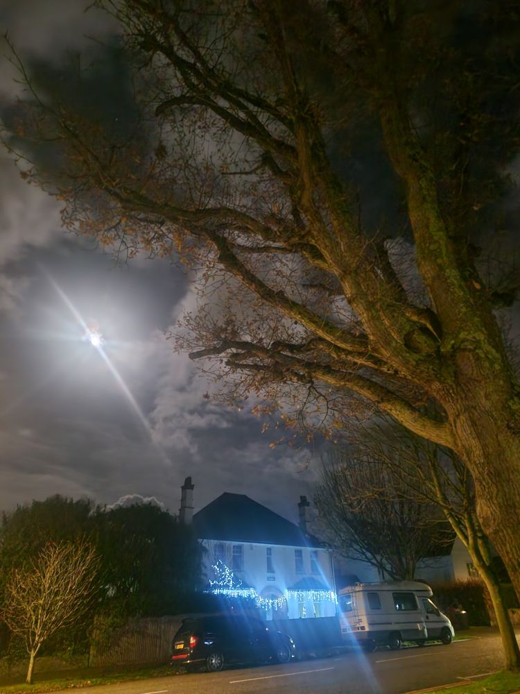 Moon above house with Christmas lights, tree on the right leaning into shot.