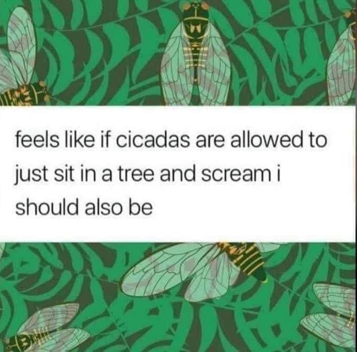 Feels like if cicadas are allowed to just sit in a tree and scream I should also be 