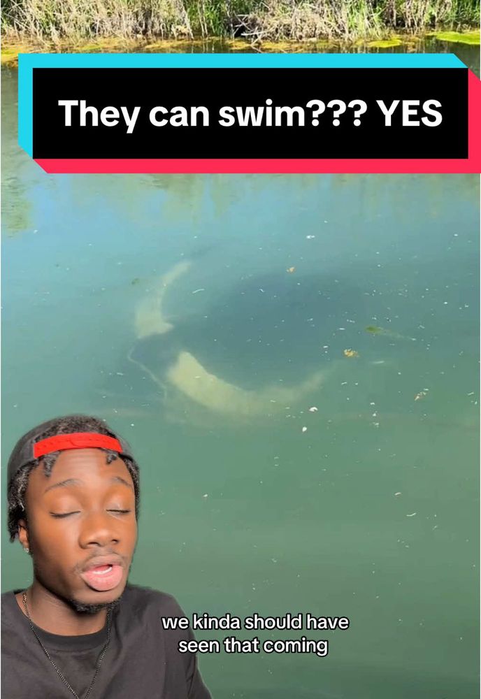 TikTok video by mndiaye_97