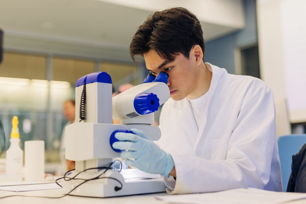  Students using the microscope in the lab. Credit: Adam Gibson