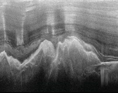 A radar image showing the Gamburtsev mountain range under layers of ice. Creyts et al (2014)