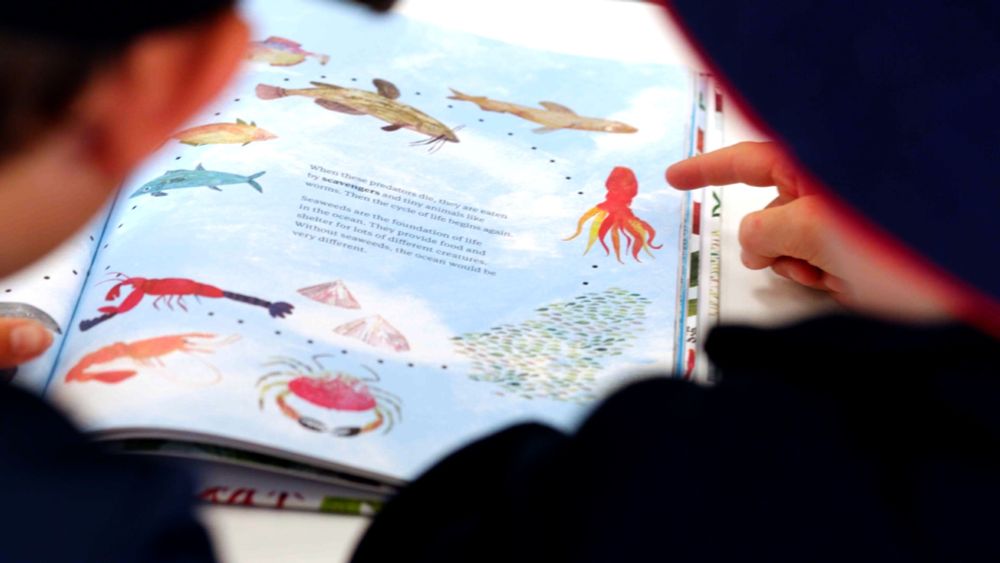 Primary school students learning about the ocean. Credit: Stefan Andrews | Great Southern Reef Foundation and Deakin University