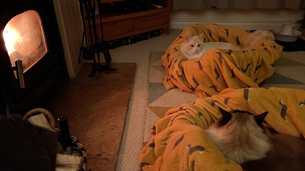Two ragdoll cats curled up in their beds in front of a cozy glowing wood burning stove.