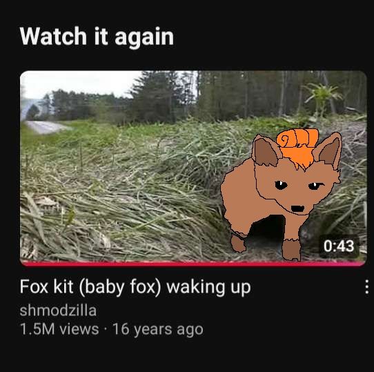 A YouTube video titled "fox kit (baby fox) waking up". The fox is leaving it's nest hole. The fox has been drawn over to resemble the pokemon vulpix
