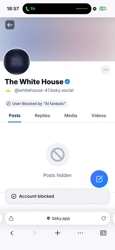 a screenshot of the new white house bluesky account. the user who took the screenshot already has the profile blocked through the "AI fanbois" blocklist