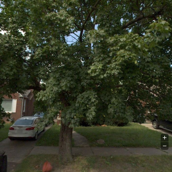 Street view imagery of 15277 CEDARGROVE captured on Aug 25 2021