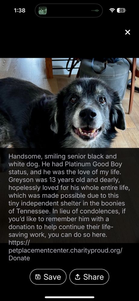 http://petplacementcenter.charityproud.org/

Image of sweetest black doggy on the interwebs with the kindest smile and face alight. Below is the alt text on Cherie’s original photo.  