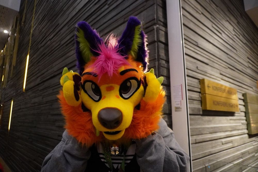 Fursuiter 

