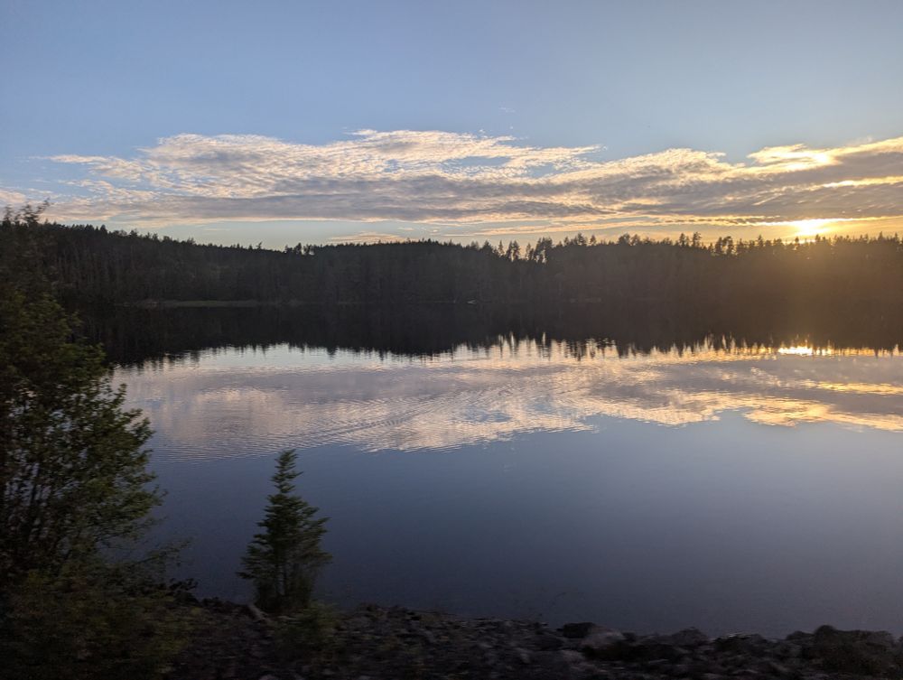 A calm lake, surrounded by forest and containing the reflection of whispy clouds, seen from a speeding train
