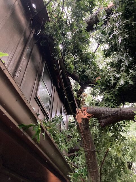 Picture shows the back of a house with structural damage from a tree falling on it.