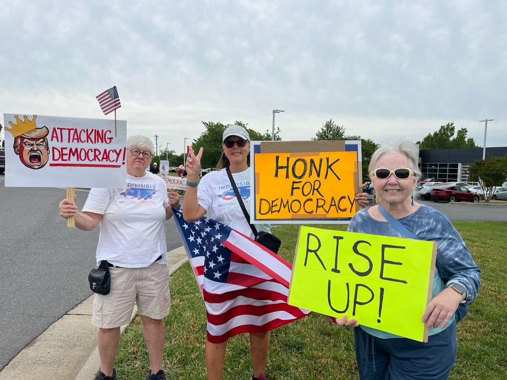 Tesla/Musk protesters with signs Honk for Democracy, Rise Up!, and [Trump caricature with crown] Attacking Democracy.