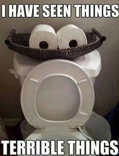 A toilet with eyes made out of toilet paper saying I have seen terrible things. While we're here, you guys ever heard of a blumkin?