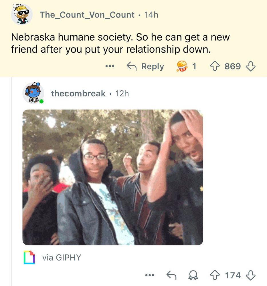 a response saying "Nebraska humane society. So he can get a new friend after you put your relationship down."