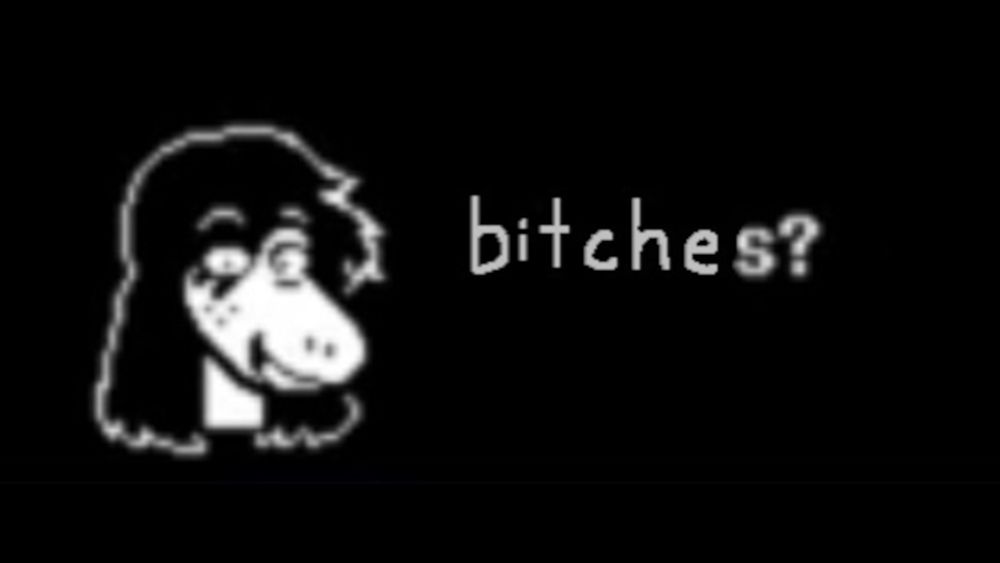 susie deltarune saying "bitches?"
