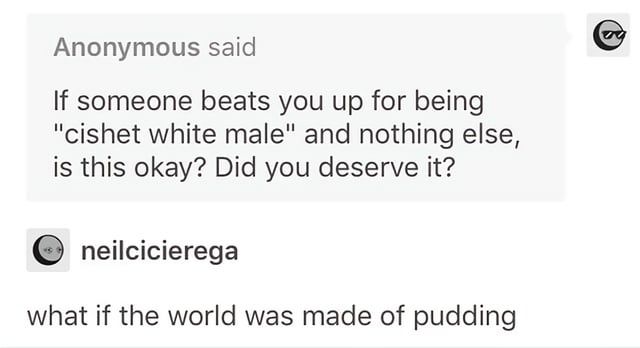 Anonymous said:
If someone beats you up for being "cishet white male" and nothing else, is this okay? Did you deserve it?

neilcicierega:
what if the world was made of pudding