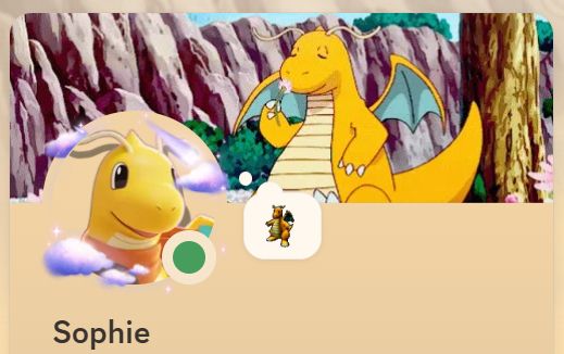 my discord profile, it's light orange and everything is dragonite-themed