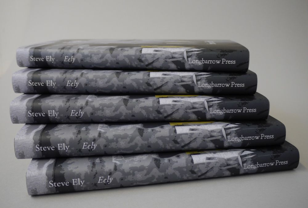Five copies of 'Eely' by Steve Ely, spines facing outwards.